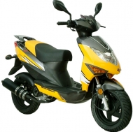 68_39_pic_Magnet 4T Yellow_769x768.jpg